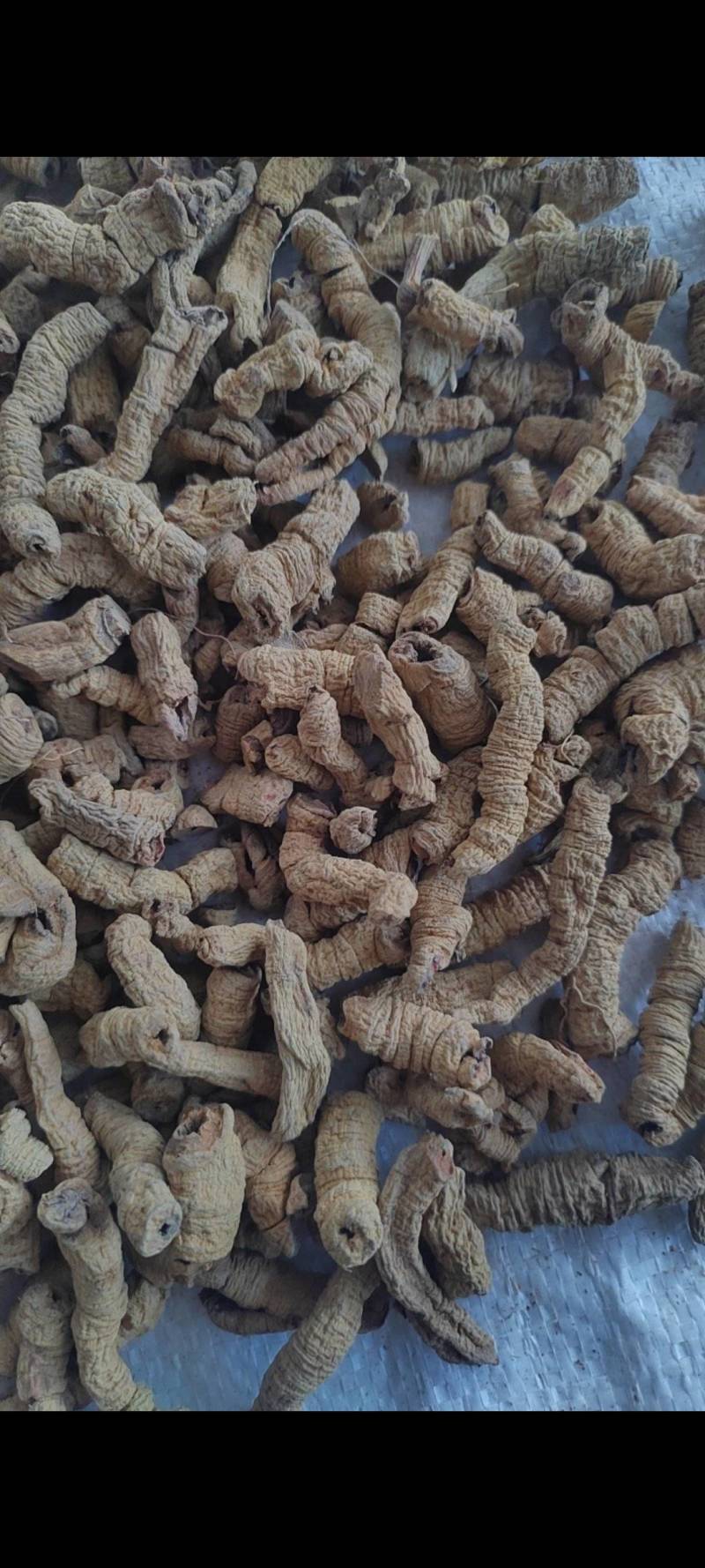 巴戟肉物有所值