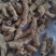 巴戟肉物有所值