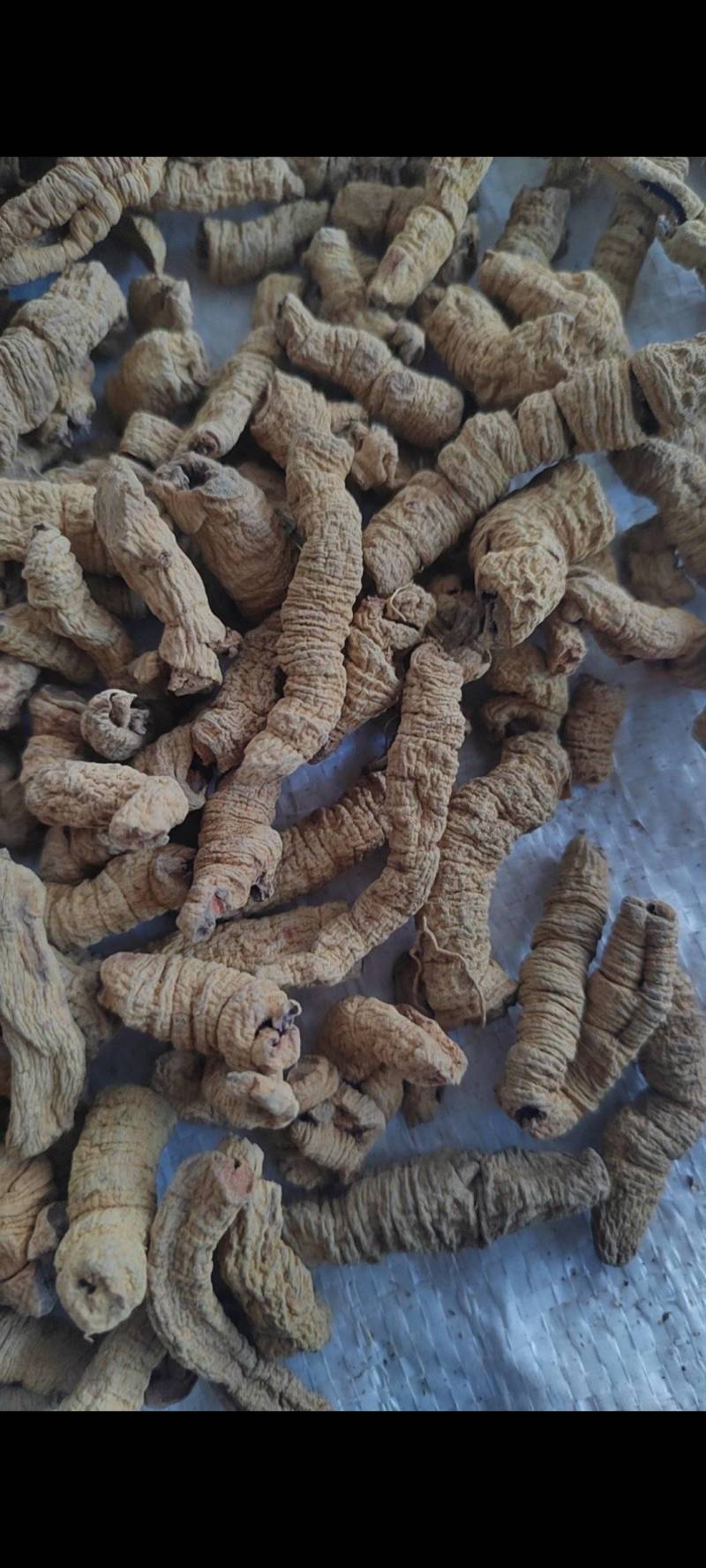 巴戟肉物有所值
