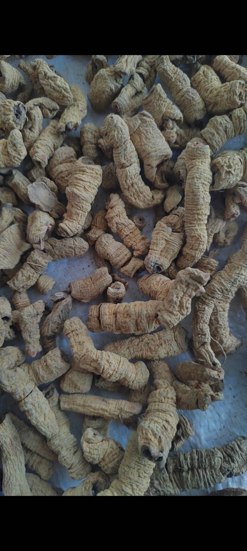 巴戟肉物有所值