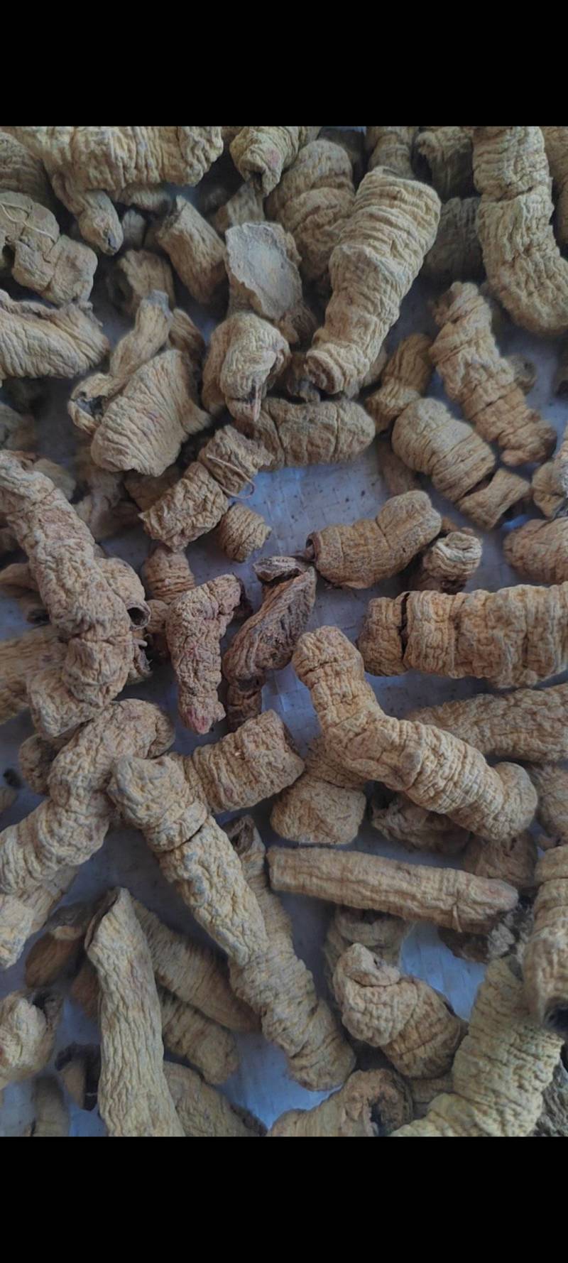 巴戟肉物有所值