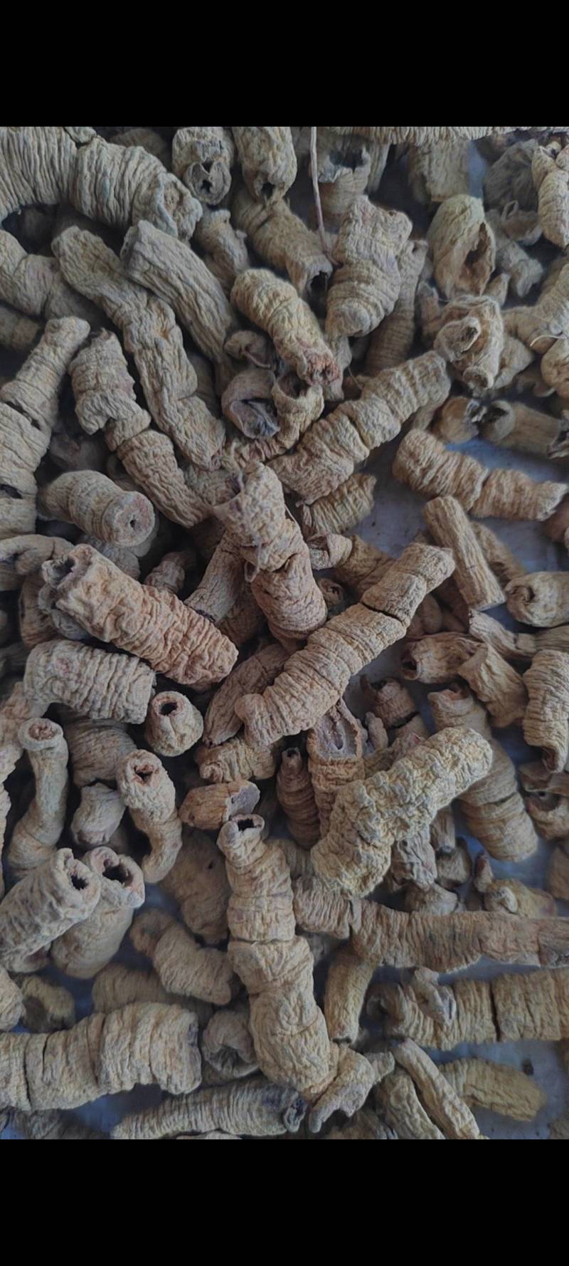 巴戟肉物有所值