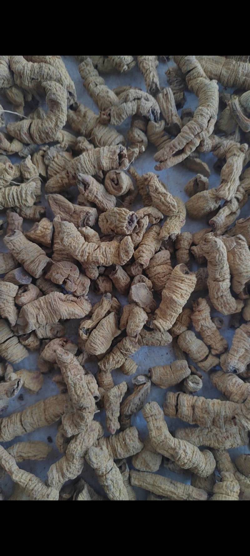 巴戟肉物有所值