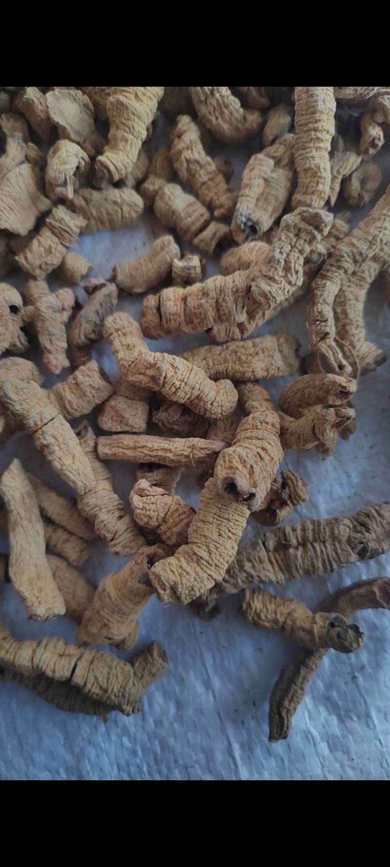 巴戟肉物有所值