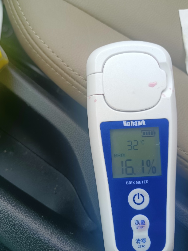 突尼斯软籽石榴