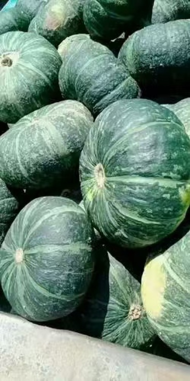 产地直发精品板栗南瓜贝贝南瓜货源稳定量大从优