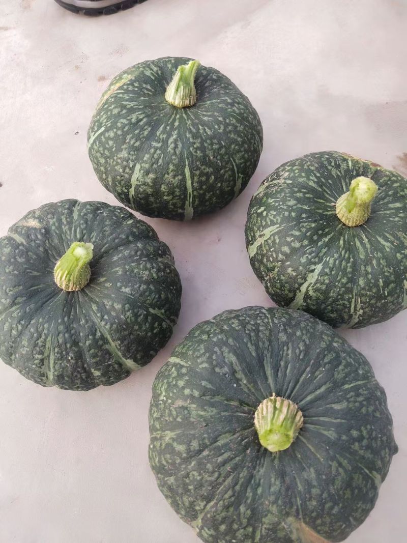产地直发精品板栗南瓜贝贝南瓜货源稳定量大从优