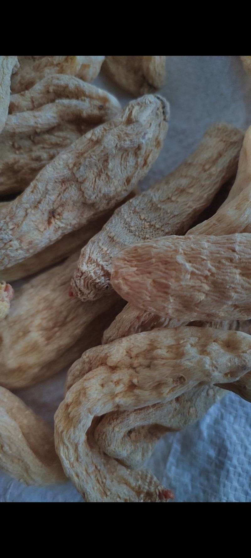 天麻直销