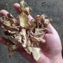 云南精品去硫姜片，品质好货量足，支持视频看货