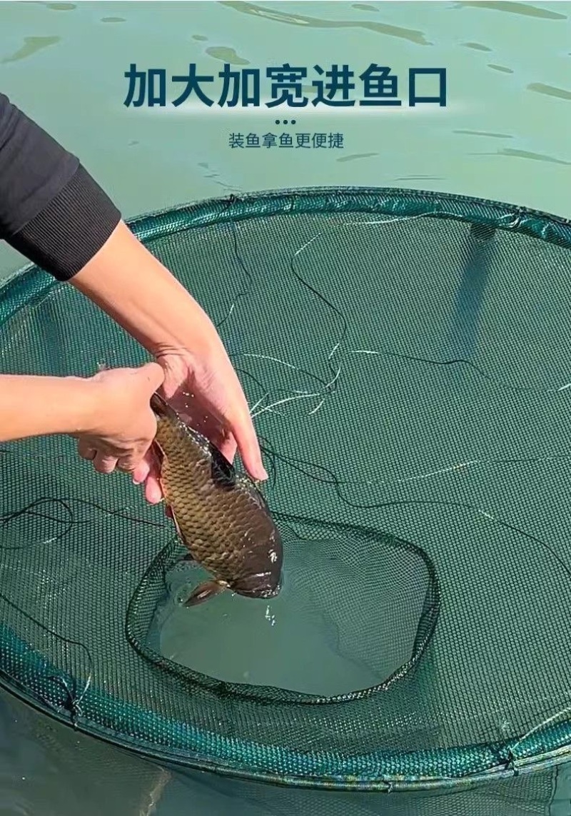 养鱼网箱鱼苗甲鱼大鱼养殖存鱼漂浮鱼护加密大号折叠鱼笼