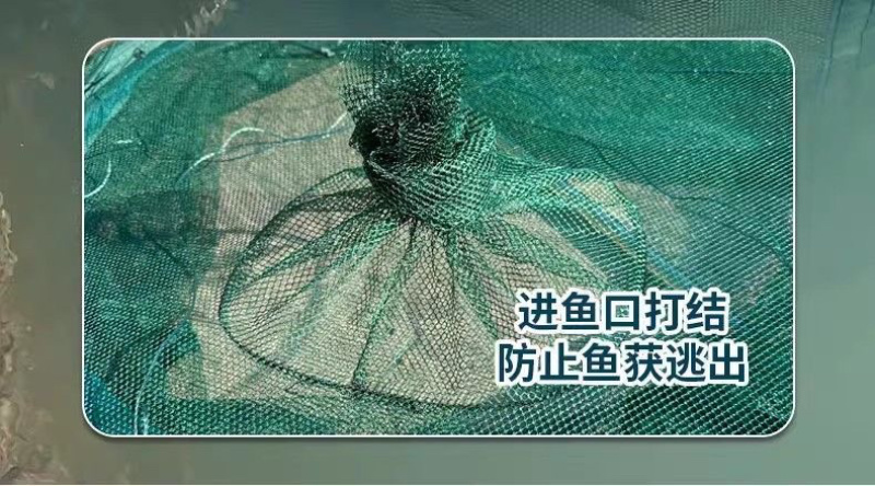 养鱼网箱鱼苗甲鱼大鱼养殖存鱼漂浮鱼护加密大号折叠鱼笼
