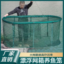 养鱼网箱鱼苗甲鱼大鱼养殖存鱼漂浮鱼护加密大号折叠鱼笼