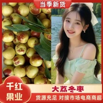 一件代发～大荔冬枣鲜枣，抖音～快手～多多买菜