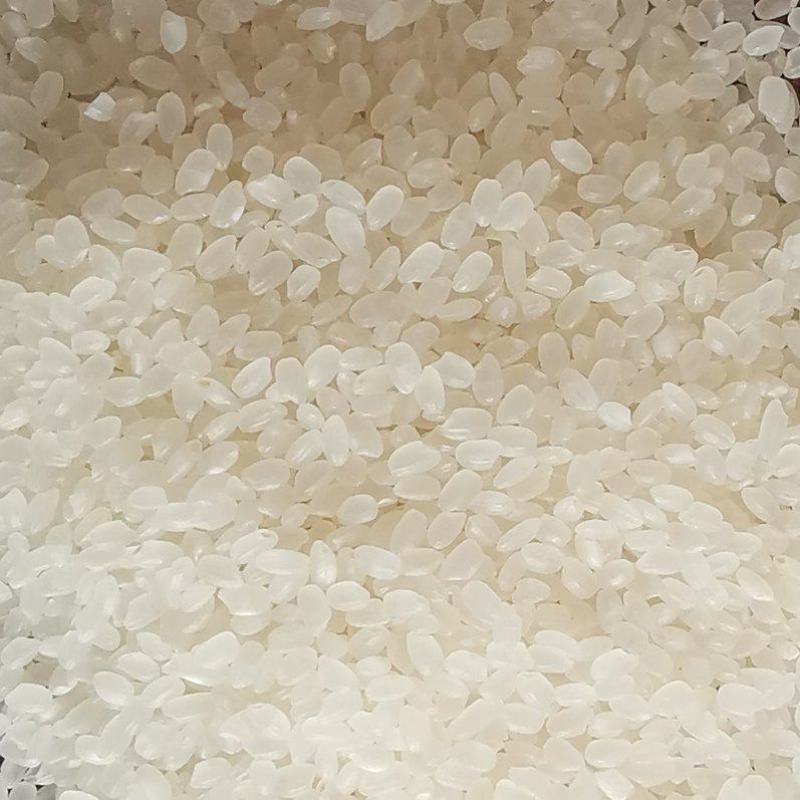 新米东北大米圆粒珍珠米