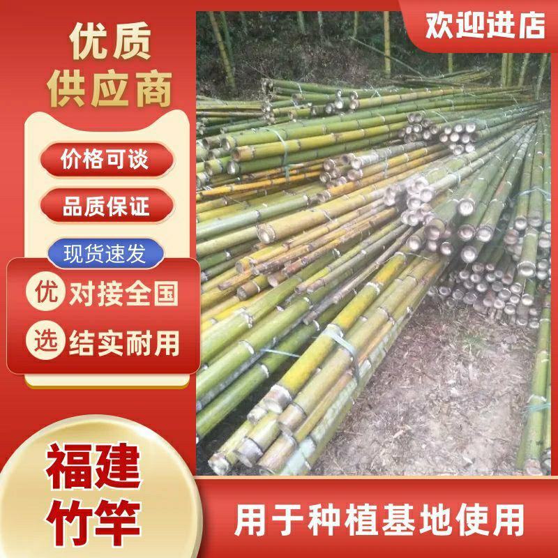 福建毛竹、产地批发、一手货源，绿化竿、各种规竹尾