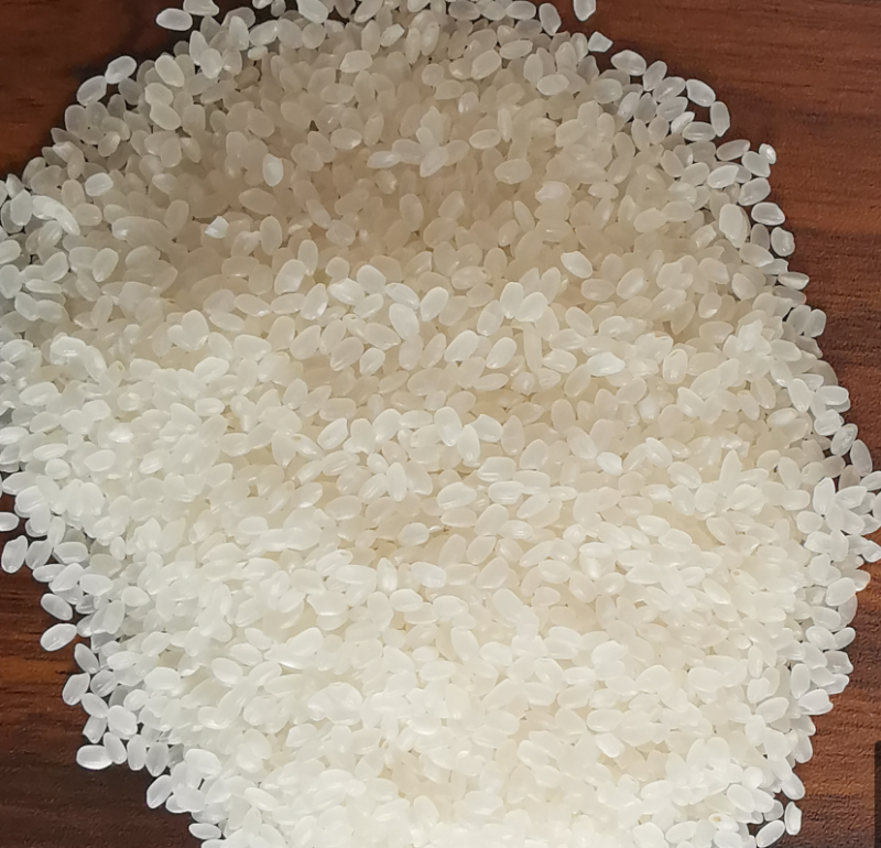 新米东北大米圆粒珍珠米