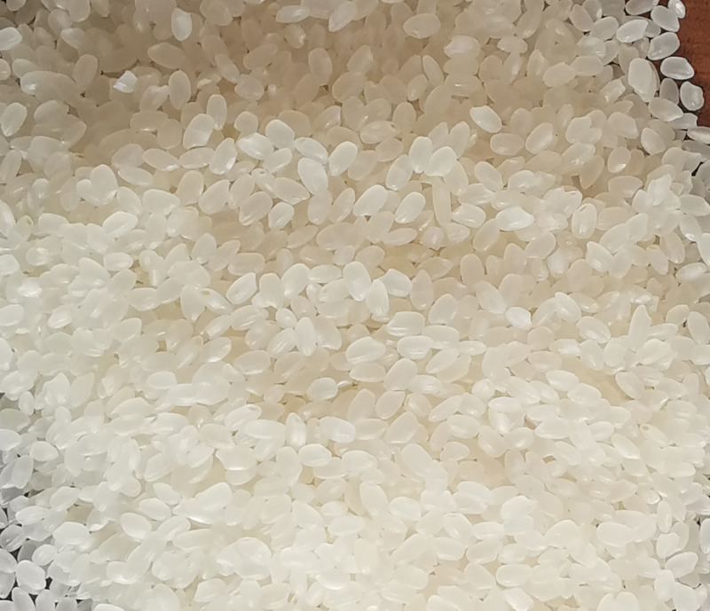 新米东北大米圆粒珍珠米
