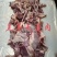 【羊天蓬肉】草地羊的护心肉！鲜冻纯干货，煎炒烹炸均可！