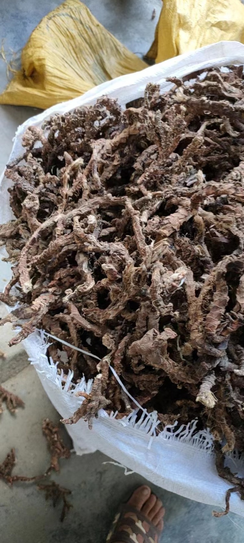 石菖蒲干货广东河源