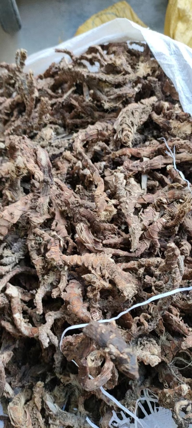 石菖蒲干货广东河源