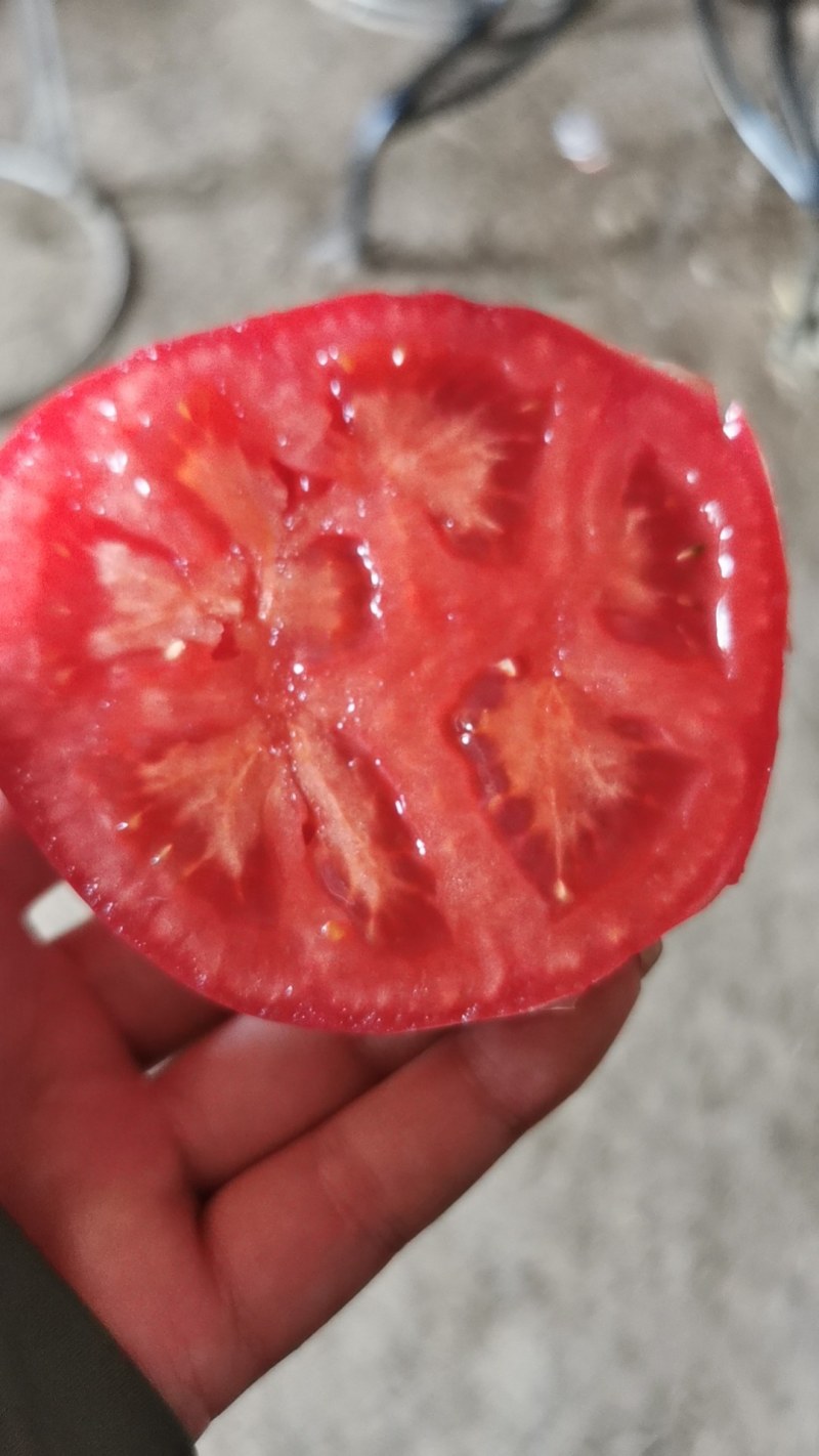 销售口感薄皮粉色西红柿种子，种苗。欢迎全国客户前来洽谈。