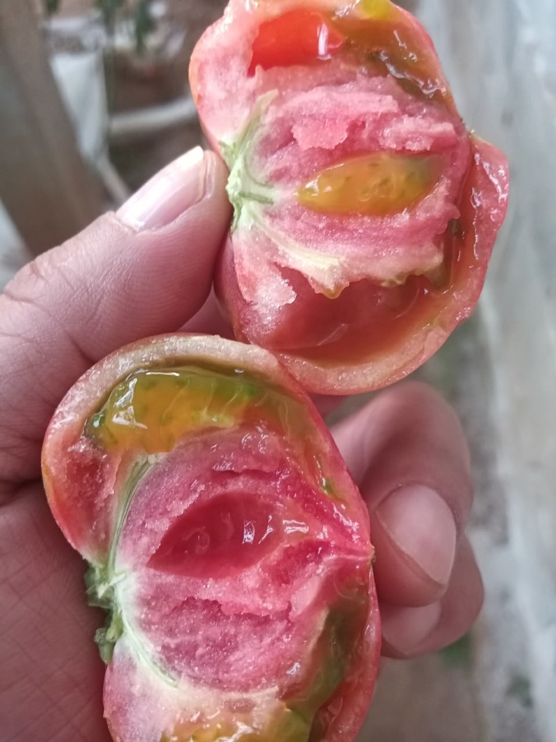 销售口感薄皮粉色西红柿种子，种苗。欢迎全国客户前来洽谈。