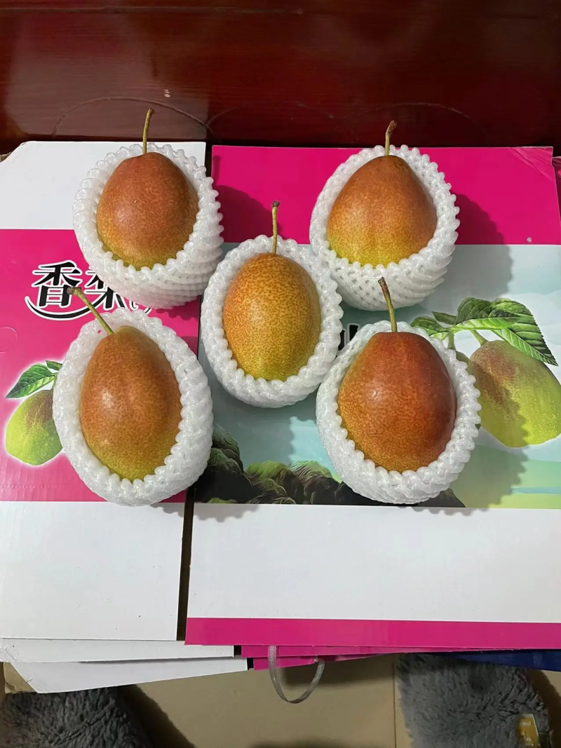红香酥梨河北梨一手货源脆甜多汁保质保量量大优惠