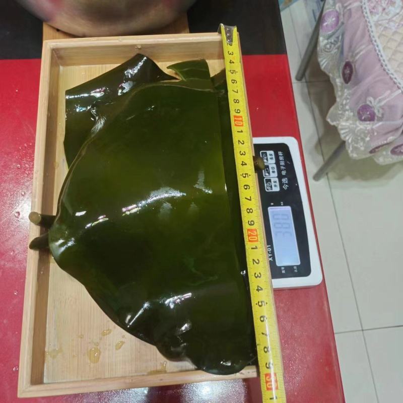 荣成海带，烘干海带头，水洗无盐无沙15倍泡发率