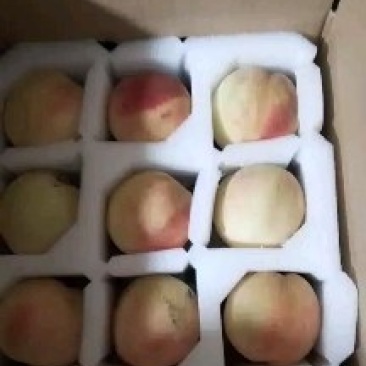 香甜可口的老品种水蜜桃