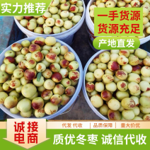 山东沾化冬枣直供电商社团商超一件代发批发
