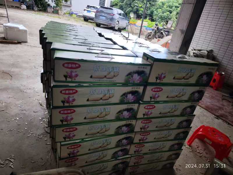 省名优产品新垦莲藕真空礼盒大泡沫箱产地直出价处低位快
