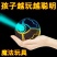 智力解扣记忆解环鲁斑锁九连环全套儿童学生智力开发玩具