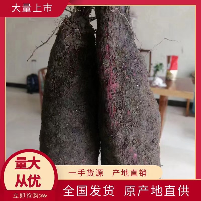 中介0.2一斤，赣南紫山药脚板薯