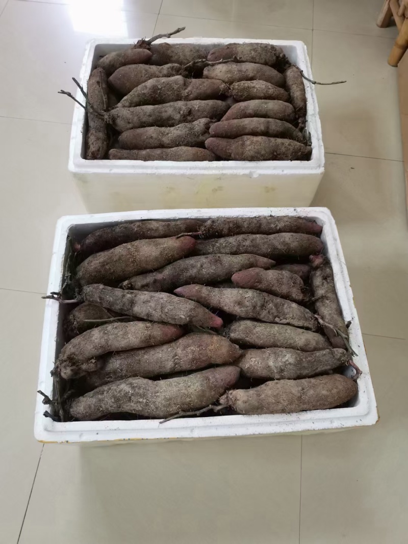 中介0.2一斤，赣南紫山药脚板薯