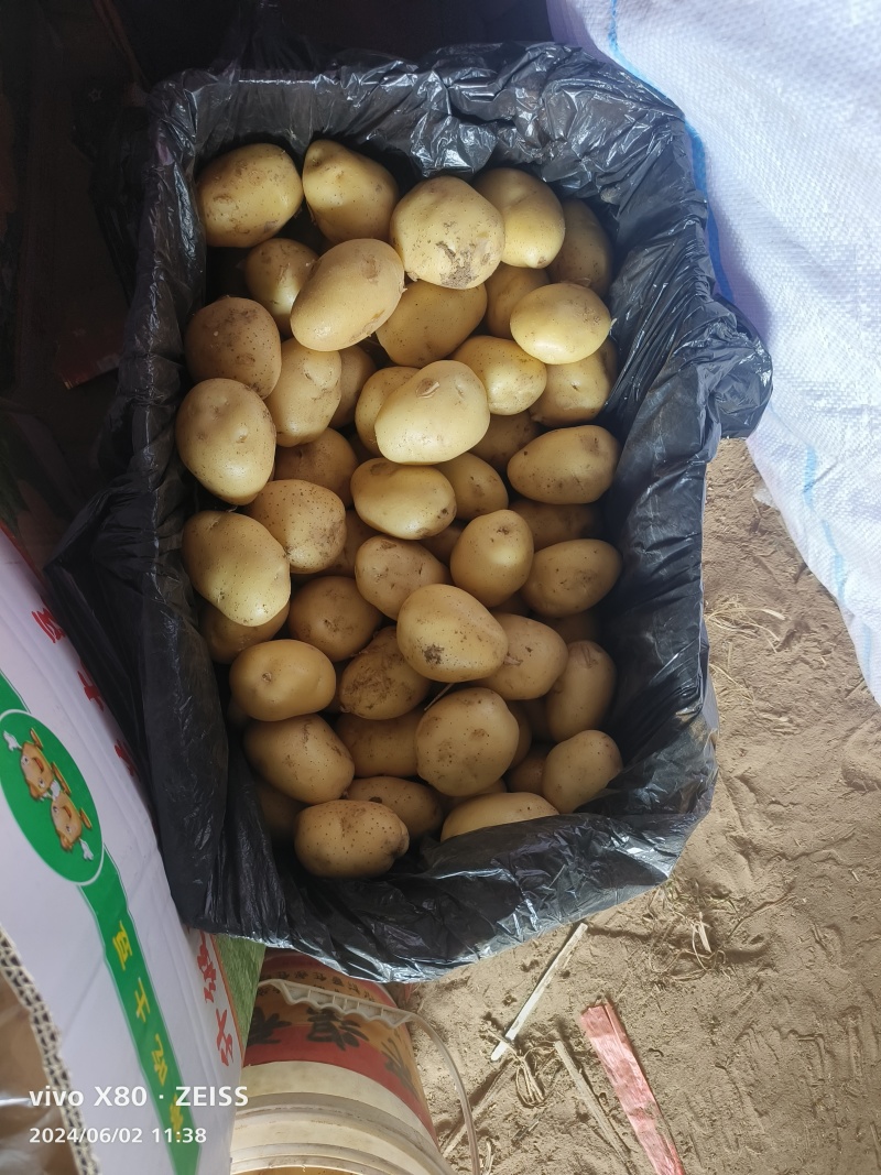 荷兰黄皮黄心中号土豆2到4，鲜货加工，无次品，全国发货