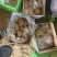 荷兰黄皮黄心中号土豆2到4,鲜货加工,无次品,全国发货