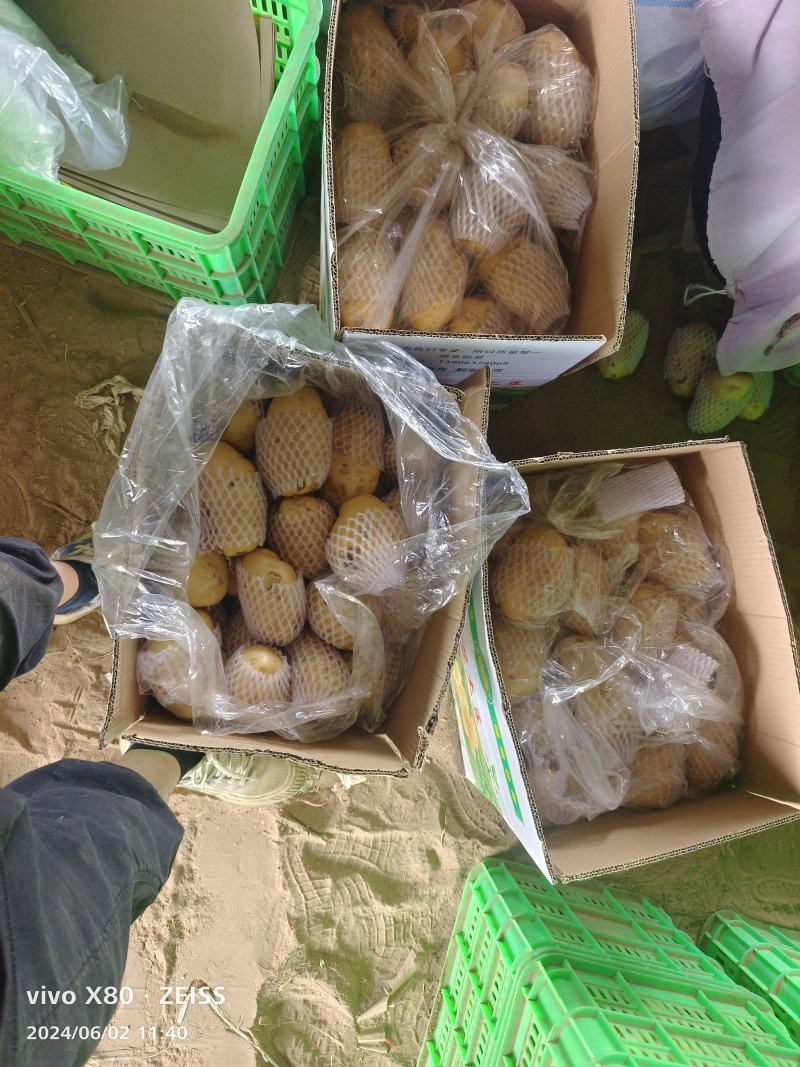 荷兰黄皮黄心中号土豆2到4，鲜货加工，无次品，全国发货