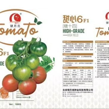 销售正宗甜心六草莓西红柿种子，种苗。欢迎全国客户前来洽谈
