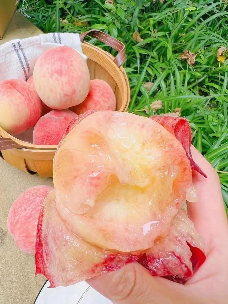 老家特产，产地一手货源