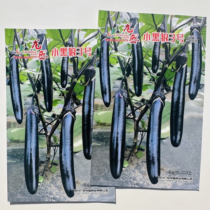 龙盛小黑茄种子北方小黑狼3号茄子种子紫萼绿裤长茄种籽