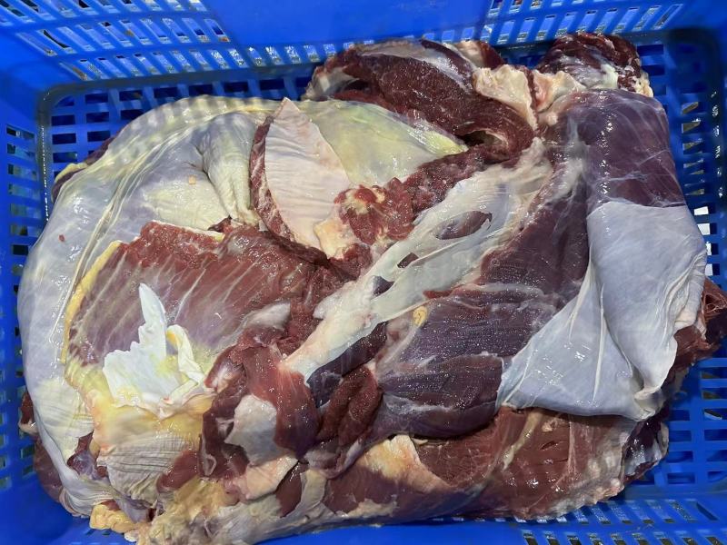 罗肌肉