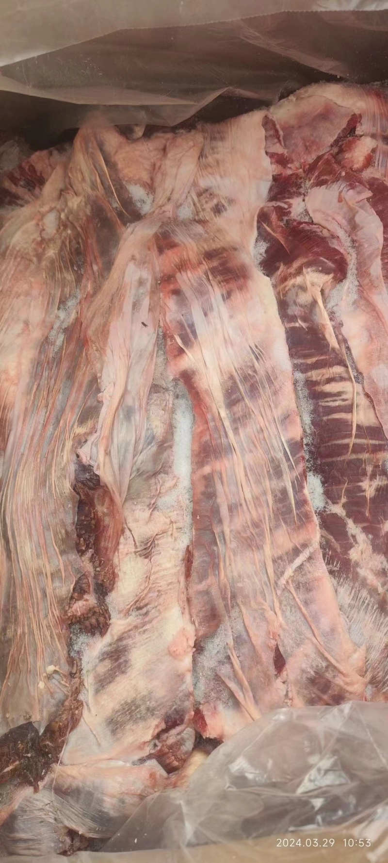 罗肌肉