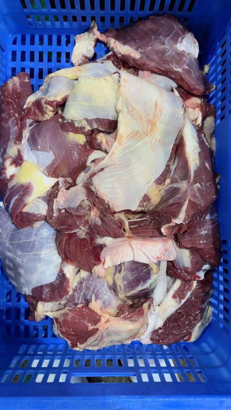 罗肌肉