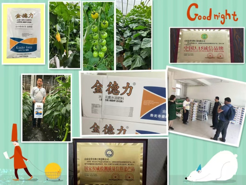 大元素水溶肥50和60含量平衡高钾山东寿光包邮