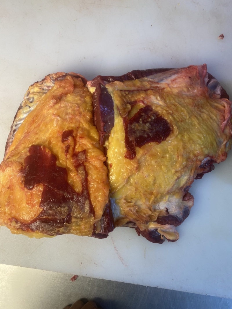 内蒙古草原溜达牛，黄膘牛肉