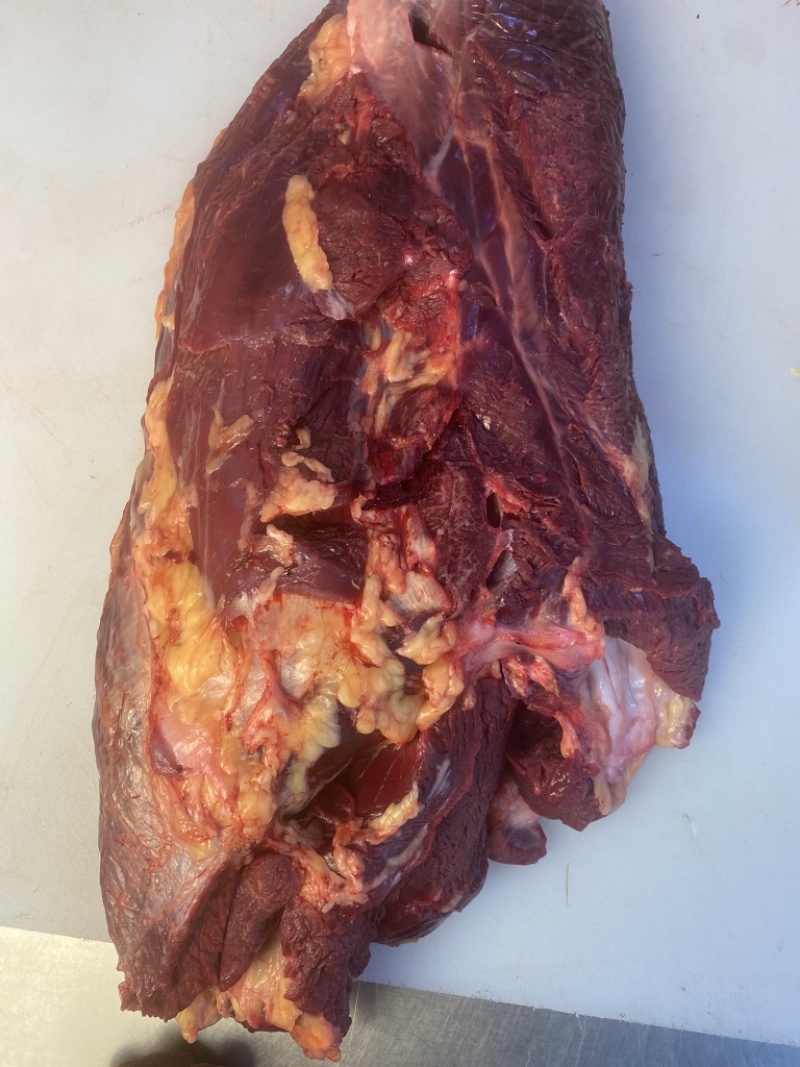 内蒙古草原溜达牛，黄膘牛肉