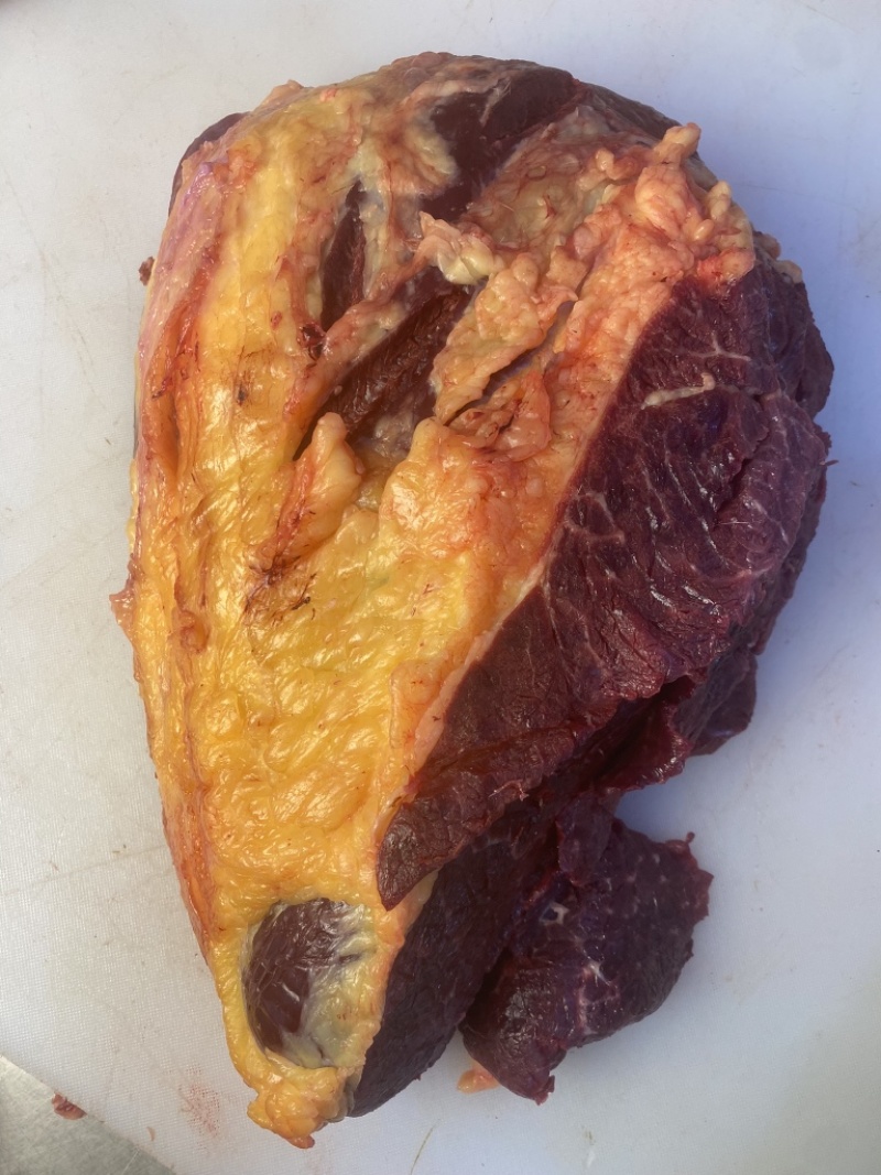 内蒙古草原溜达牛，黄膘牛肉