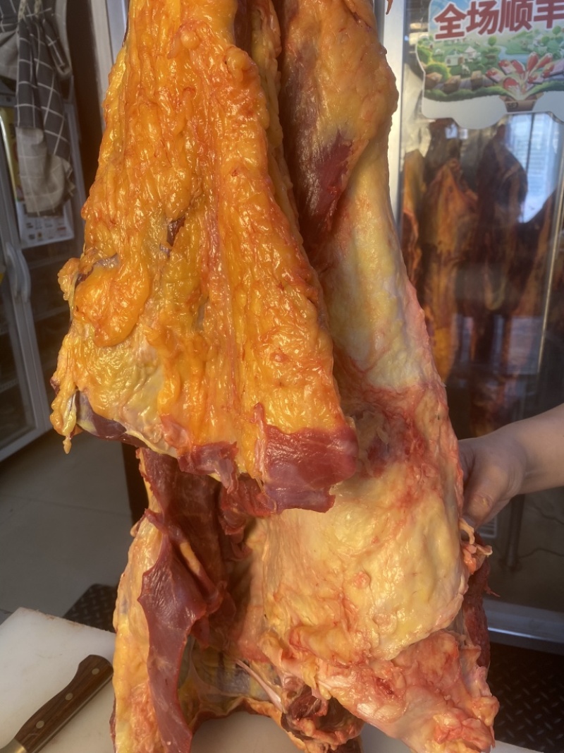 内蒙古草原溜达牛，黄膘牛腩