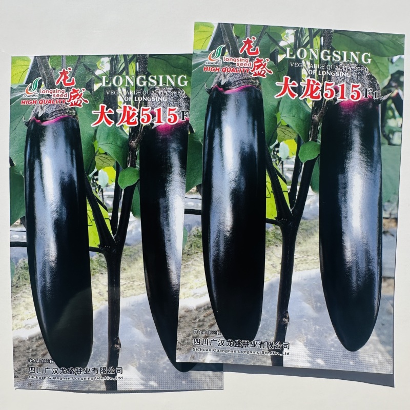 龙盛烧烤茄种子四川大龙515粗棒型茄子种子软糯清香好吃