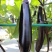 龙盛烧烤茄种子四川大龙515粗棒型茄子种子软糯清香好吃